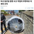 등굣길 초등학생 사망한 지게차 사고 근황 ㄷㄷㄷ...NEWS 이미지