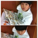 무궁화태권도체육관 이미지