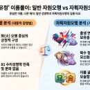 자획자원오행과 일반 자원오행의 성명학적 체계 비교 및 '정유정' 사례 심층 분석 보고서 이미지