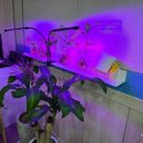 학여울청구아파트경로당 이미지