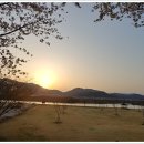 밀양시청