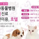 525그루밍 이미지