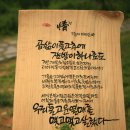 박병순 이미지