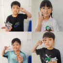 푸른나무 태권도 이미지