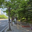 경희유치원 | 용인 청명산 아람산 기흥호수공원 연계 산행