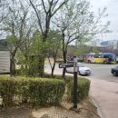 봉황대공원(주차장입구) 이미지