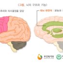 21세기한일병원 | [21세기한일병원] 알츠하이머의 주요 증상