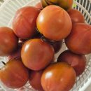 경민농장 이미지