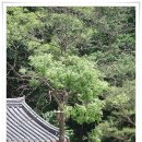 중앙공원 주변 이미지