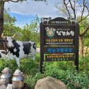 장현목장 이미지