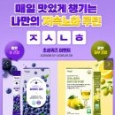 블루베리퓨레 추천 퍼니트 하루하나 블루베리스틱 후기