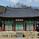 천은사 이미지