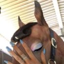 은혜세탁 | 뮤지컬 &lt;그레이하우스&gt; 후기 ①