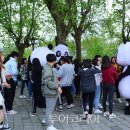 대숲향기 투어코리아