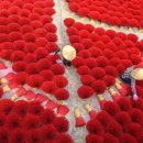 26년 3월 베트남 하노이 출사 이미지