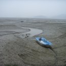 철새보러가는길 이미지