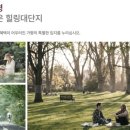 설악치과의원 네이버블로그