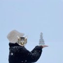 신비잉글리쉬타운 | 삿포로에 갈까요 (하)