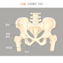 이지짐(EZGYM) 이미지