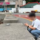 산양초등학교풍화분교장 이미지