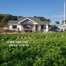 홍성부동산중개사무소 이미지