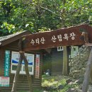 수리산산림욕장(태을초교뒤) 이미지