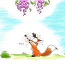 폭스(FOX) 이미지