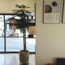 청담한약국 이미지