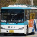상사미 절골 이미지