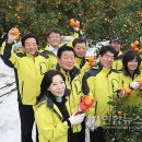 신효동-17 이미지