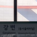 다영약국 이미지