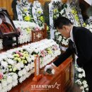 헌화 스타뉴스