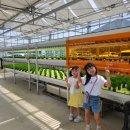 (주)이월팜 이미지