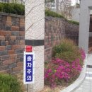 도안지구 이미지