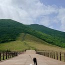 명산사슴농장 | 영남알프스 간월재 등산코스 최단코스 사슴농장코스 후기