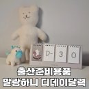 디데이스튜디오 | 말랑하니 디데이달력 말띠에디션 내돈내산 구매후기