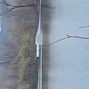 일단의 그라프는 줄이 끊어진 상태로 블랙먼데이 예측... 이미지