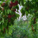 행복한체험마을 이미지