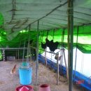 진 농장 이미지