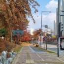 새샘약국 이미지