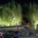 둔산 선사유적지 이미지