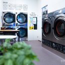 마이골프(MY GOLF) 이미지