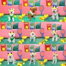 댕라이킷 이미지