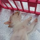 디자인틀 이미지