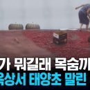 (KNN)"고추가 뭐길래 목숨까지.." 고층 옥상 '아찔'한 장면/2026.8.30. 이미지