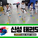신성태권도장 이미지