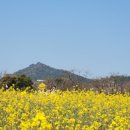 예래동사무소 이미지