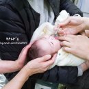 코미이비인후과의원 이미지