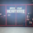 하트레이트 강남 이미지