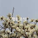 법률사무소형통